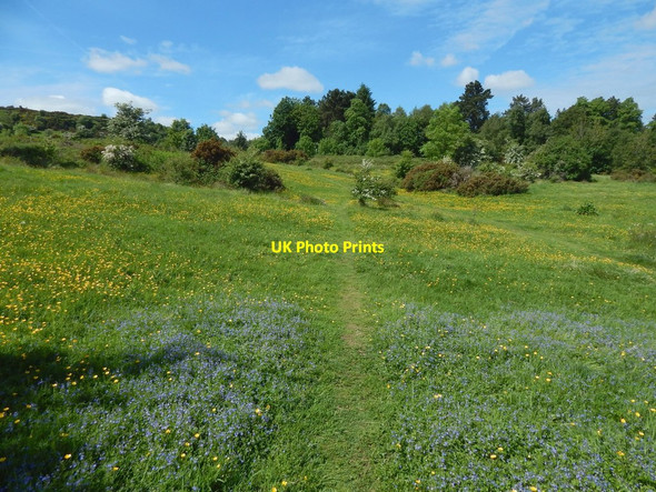Photo 6"x4" Path to Glen Park Barrhead c2017