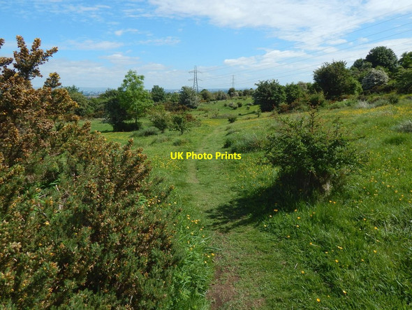 Photo 6"x4" Path to Brownside Braes Barrhead c2017