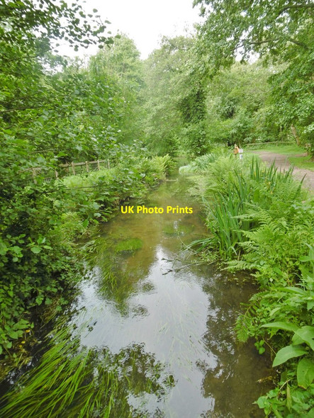 Photo 6"x4" Organford, Sherford River Organford c2017