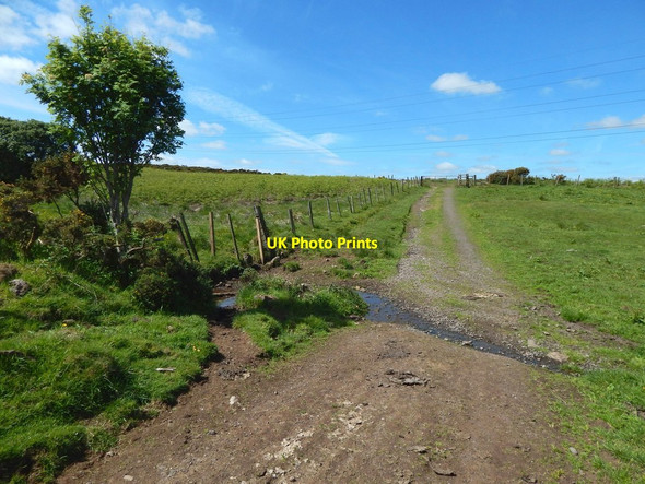 Photo 6"x4" Track on Brownside Braes Barrhead c2017