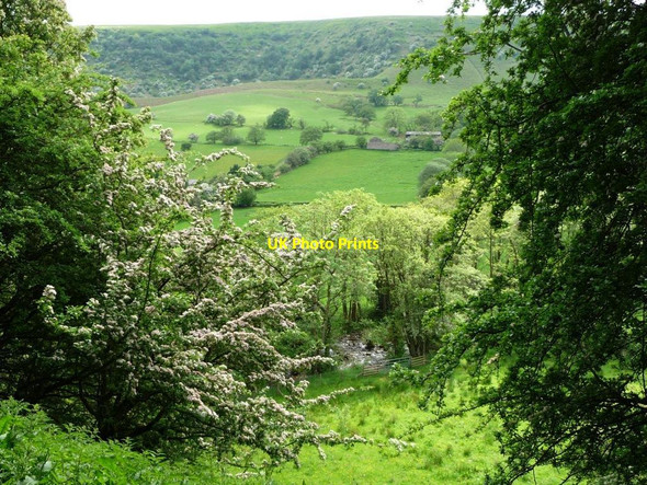 Photo 6"x4" Afon Honddu, from the footpath to Ty'r Onnen Capel-y-ffin c2017