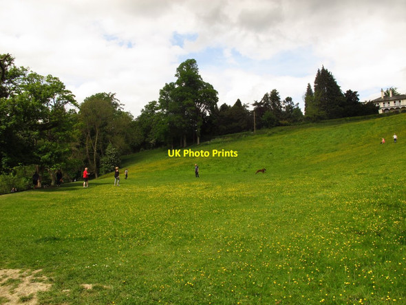 Photo 6"x4" Field next to the Horseshoe Falls Llangollen c2017