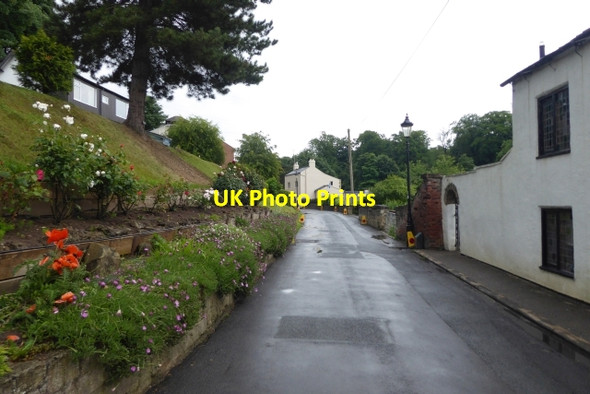 Photo 6"x4" Along Waterside Knaresborough c2017