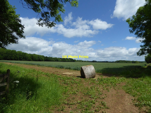 Photo 6"x4" A straw bale in a field entrance Cornwell c2017