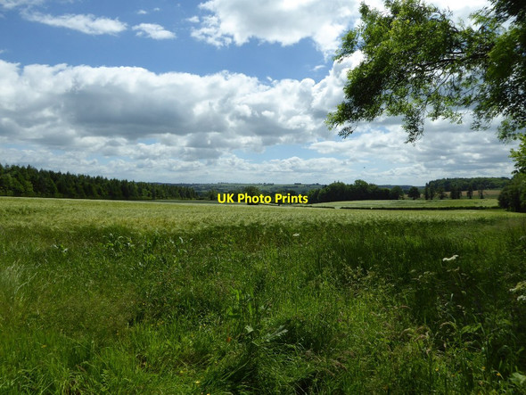 Photo 6"x4" A barley field near Cornwell Cornwell c2017