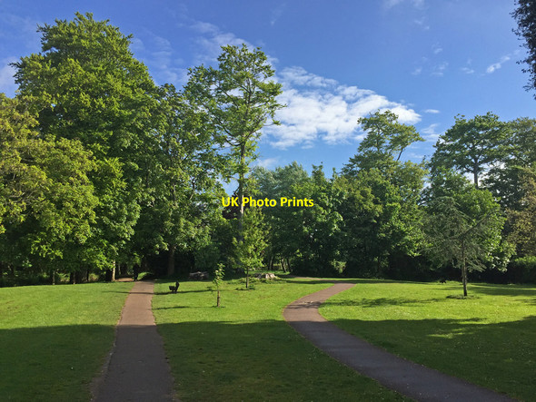 Photo 6"x4" The Byes Riverside Park Sidmouth c2017