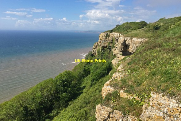 Photo 6"x4" Dunscombe Cliff Weston\/SY1688 c2017