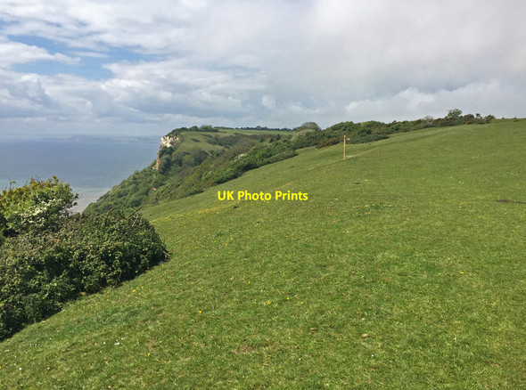 Photo 6"x4" South West Coast Path above Littlecombe Shoot Branscombe c2017