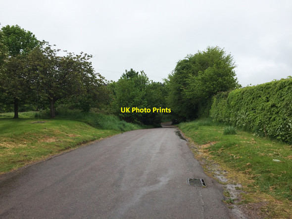 Photo 6"x4" South Farm Road Budleigh Salterton c2017