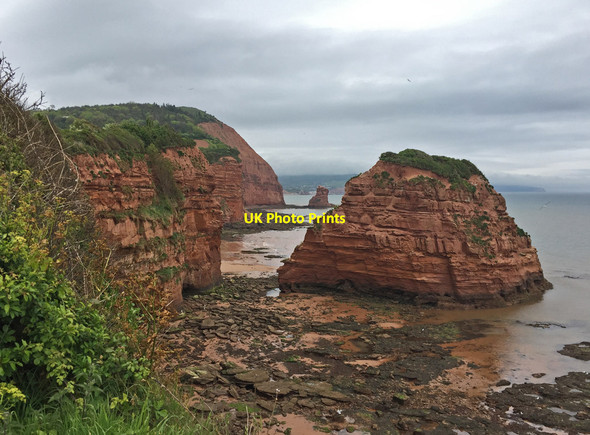Photo 6"x4" Sea stack, Hern Point North Star c2017