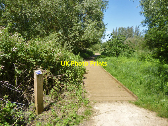 Photo 6"x4" Boardwalk, Harmondsworth Moor West Drayton\/TQ0679 c2017