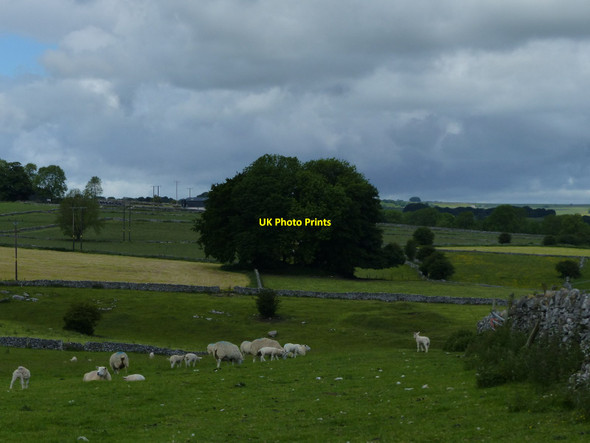 Photo 6"x4" View from The Limestone Way Monyash c2017