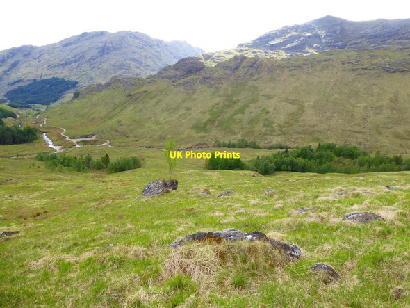 Photo 6"x4" Birch woods  below Coire a' Bheithe Bealach Coire nan Cearc c2017