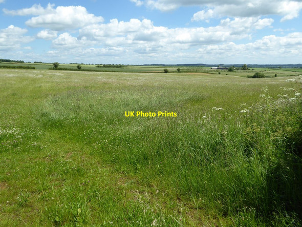 Photo 6"x4" Farmland and Curdlehill Farm Westend\/SP3222 c2017