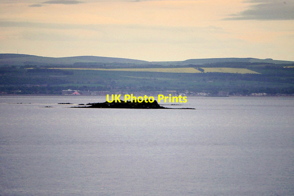 Photo 6"x4" Firth of Forth, Seal Carr Seal Carr c2017