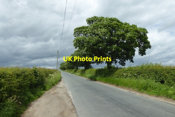 Photo 6"x4" Along Langton Road Langton\/SE7967 c2017