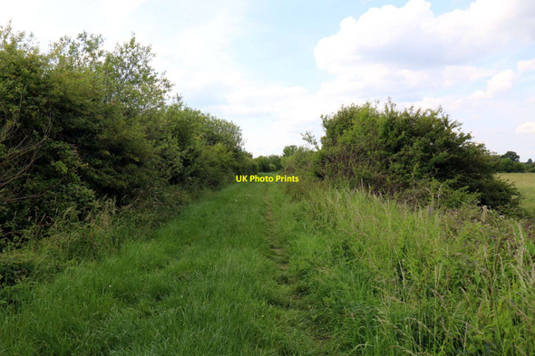 Photo 6"x4" Bridleway to Oddington Noke c2017