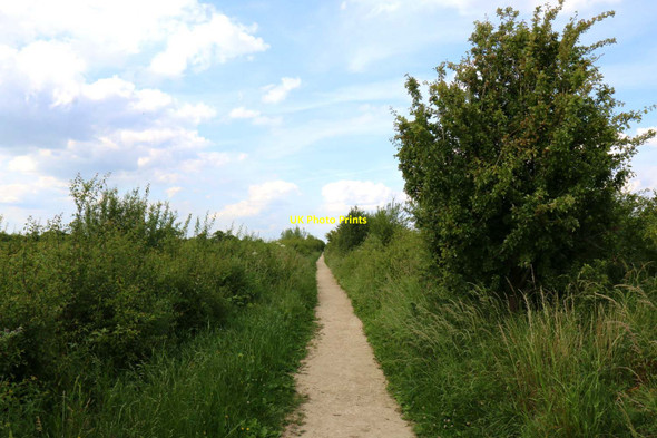 Photo 6"x4" Footpath to the wetland hides Oddington c2017 P1