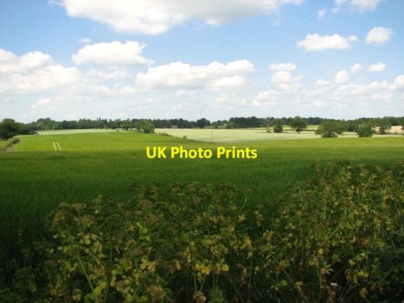 Photo 6"x4" Crop fields east of Bramerton Bramerton c2017