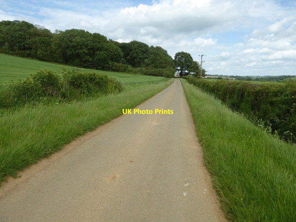 Photo 6"x4" Country road near Sutton-under-Brailes Stourton Hill c2017