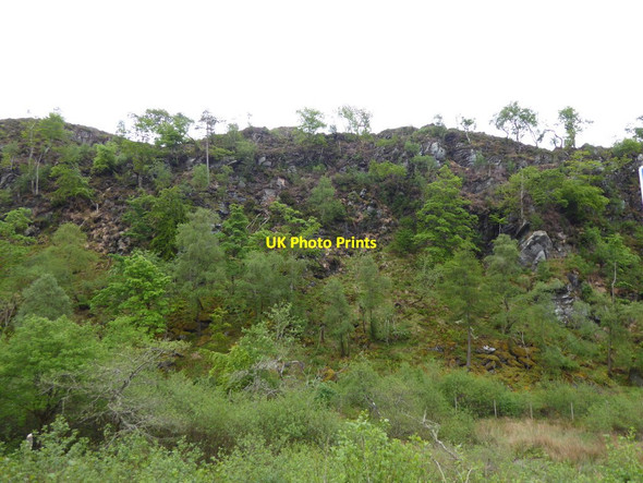Photo 6"x4" Trees on rocky slope by Borrodale House Druimindarroch c2017