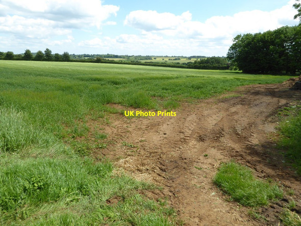 Photo 6"x4" Farmland near Rollright Heath Farm Southrop\/SP3532 c2017