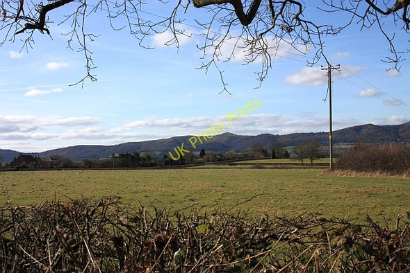 Photo 6"x4" Pasture, Hook Bank Hook Bank c2009