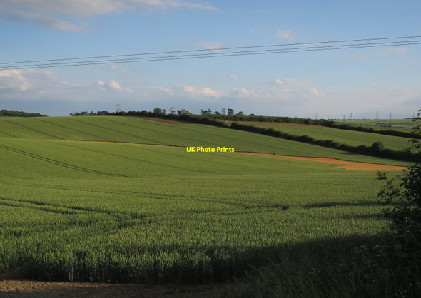 Photo 6"x4" Fields of wheat Springwell\/TL5241 c2017