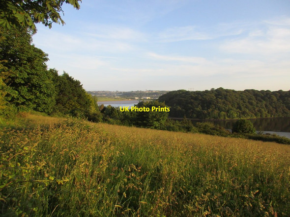 Photo 6"x4" View over the River Blackwater Newtown\/X0681 c2017