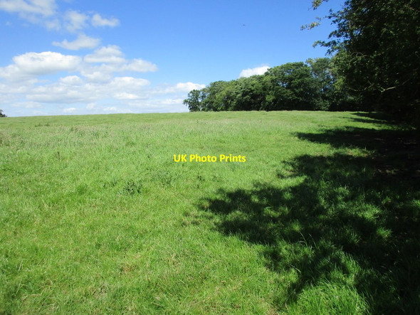 Photo 6"x4" Grass field and part of Ley Park Northwood Green c2017