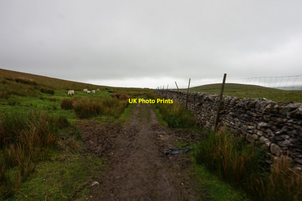 Photo 6"x4" 12-39pm path towards Sell Gill Hill New Houses\/SD8073 c2017