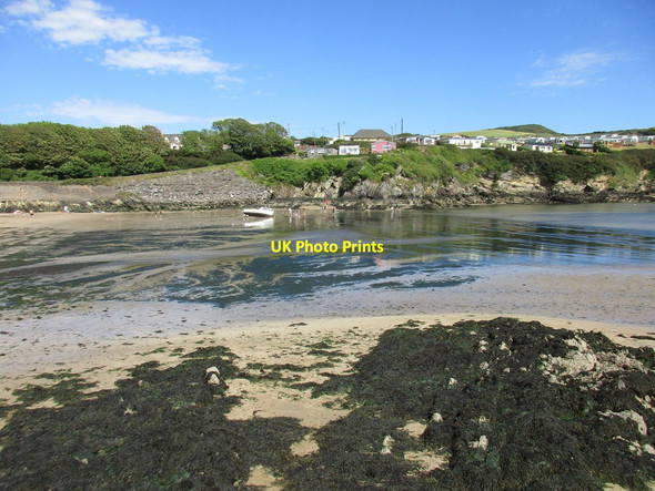 Photo 6"x4" View across Robert's Cove Myrtleville c2017