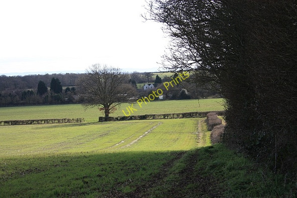 Photo 6"x4" Footpath to Lower Hook Hook Bank c2009