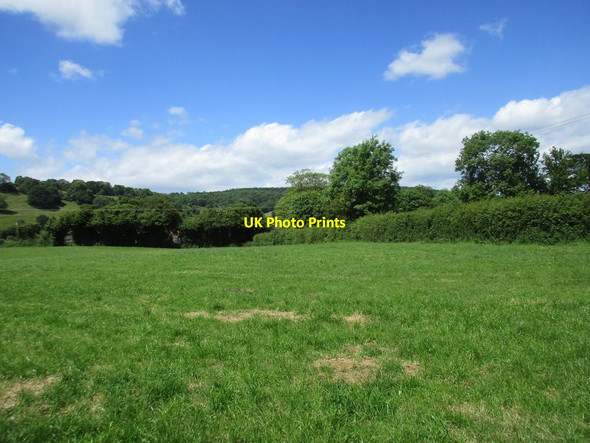 Photo 6"x4" Grass field near Mitcheldean Mitcheldean c2017