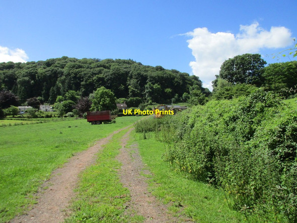 Photo 6"x4" Track to Green Farm Plump Hill c2017