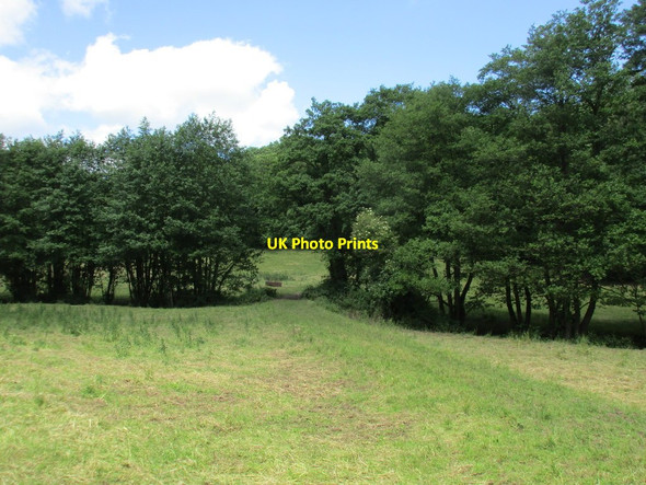 Photo 6"x4" Footpath to Shapridge Flaxley c2017