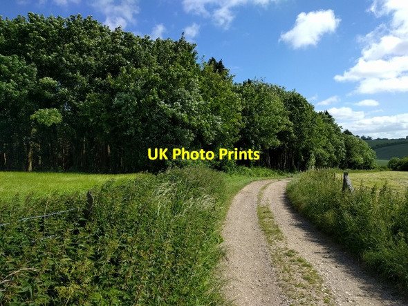 Photo 6"x4" Track heading north east past woodland Woodsend\/SU2275 c2017