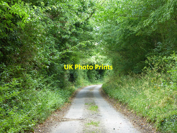 Photo 6"x4" Lane between Hill Top Farm and Walnut Tree Farm Baylham c2017