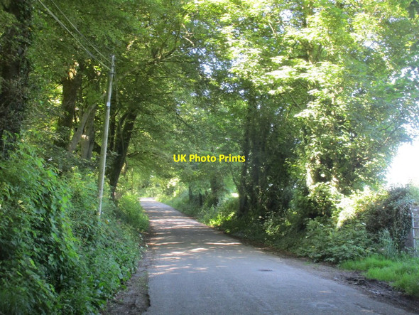 Photo 6"x4" Road at Carriglusky Cloyne c2017