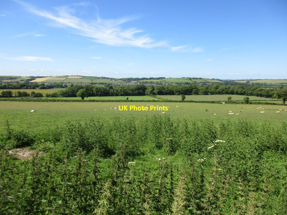 Photo 6"x4" View towards Cloyne Cloyne c2017