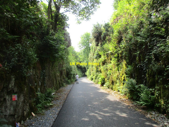 Photo 6"x4" Approaching Ballyvoyle Tunnel Stradbally c2017
