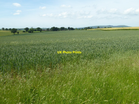Photo 6"x4" Farmland at Neen Savage Neen Savage c2017