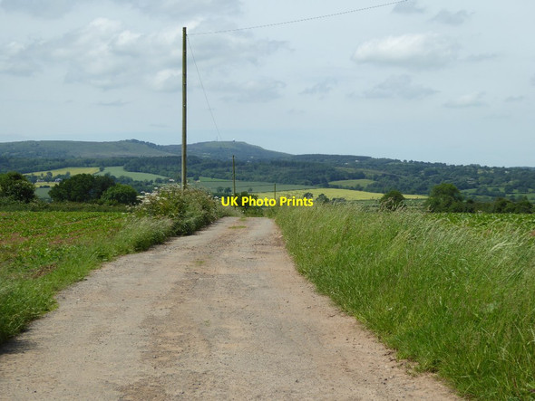 Photo 6"x4" View to Titterstone Clee Hill Neen Savage c2017