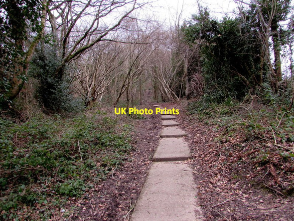 Photo 6"x4" Stepped path ascending from School Road, Lydbrook Upper Lydbrook c2016