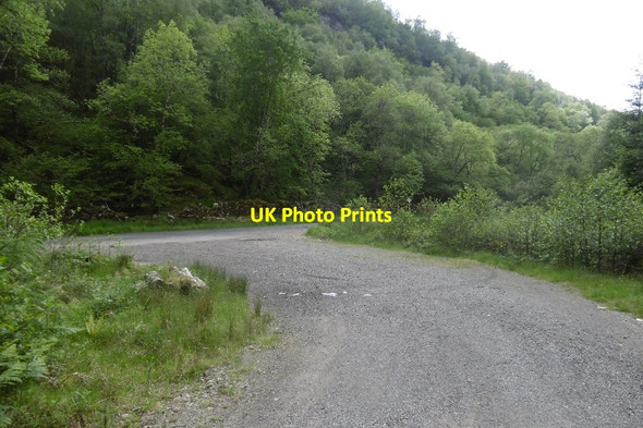 Photo 6"x4" Forest road, M\u00c3\u00acle Dorcha Bunarkaig c2017