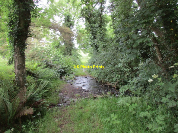 Photo 6"x4" Ford on a track at Ballyeightragh Clonmult c2017