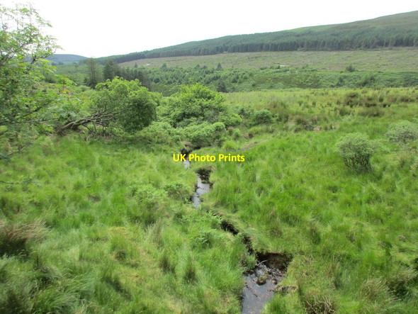 Photo 6"x4" Small stream, significant boundary Ballynamult c2017