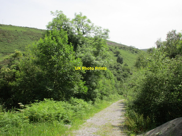 Photo 6"x4" Track in the Glenboy River valley Newcastle\/S1213 c2017