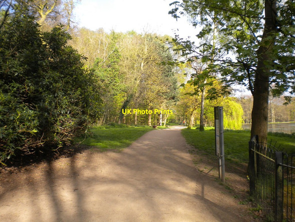 Photo 6"x4" Path alongside Upper Lake, Roundhay Park (2) Lady Wood\/SE3337 c2017