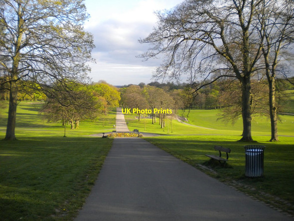 Photo 6"x4" Middle Walk, Roundhay Park Lady Wood\/SE3337 c2017